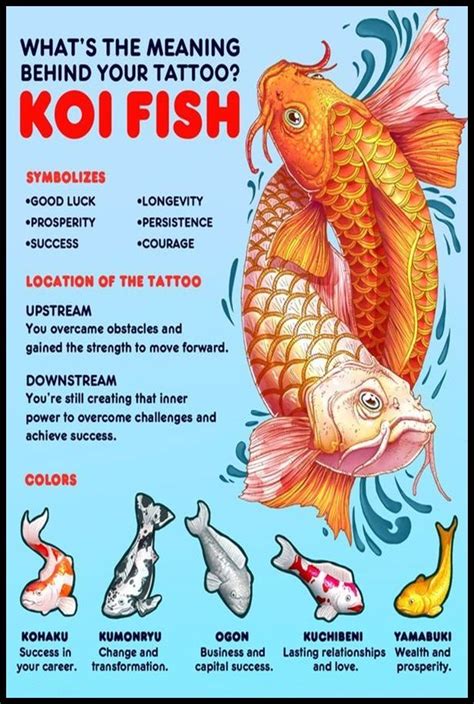 The Origin and Significance of Koi Fish