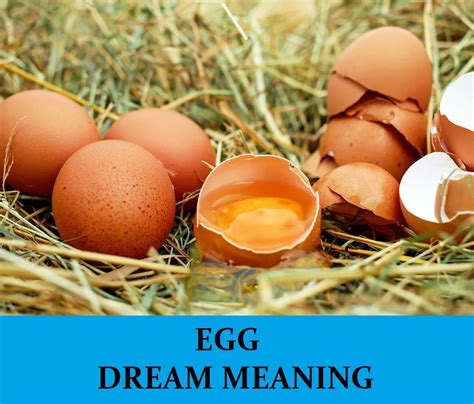 The Origins of Egg Symbolism in Dreams
