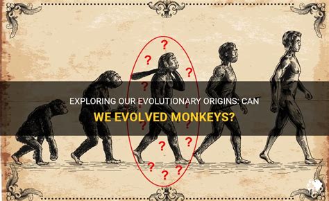 The Origins of Monkey Behavior: Exploring Evolutionary Patterns