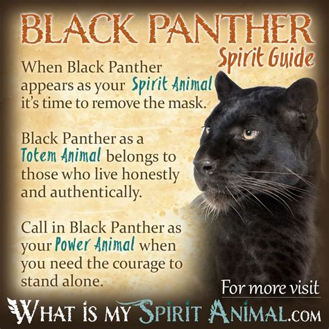 The Panther as a Symbol of Dominance and Might in Subconscious Vision