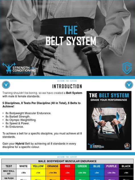 The Path to Achieving Mastery: Understanding the Belt System