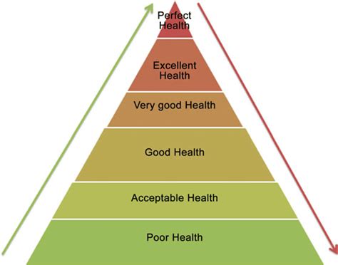 The Physical Allure: Perceptions of Health and Vitality