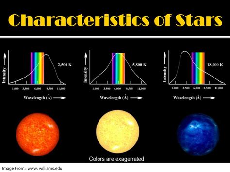 The Physical Characteristics of the Enigmatic Star