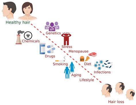 The Physical Factors That Contribute to Hair Loss in Women