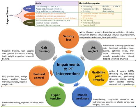 The Potential Therapeutic Benefits of Analyzing the Dreams of Individuals with Cognitive Impairment