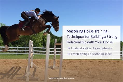 The Power of Connection: Building a Strong Bond with Your Equine Partner