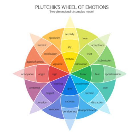 The Power of Emotions: Exploring the Impact of Feelings in a Vision of Cleansing a Departed Person