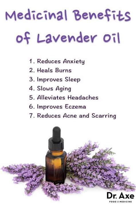 The Power of Lavender: Unveiling the Curative Effects of Nature's Remedy