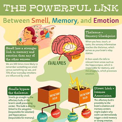 The Power of Smell: Transported Back to Your Childhood Haven