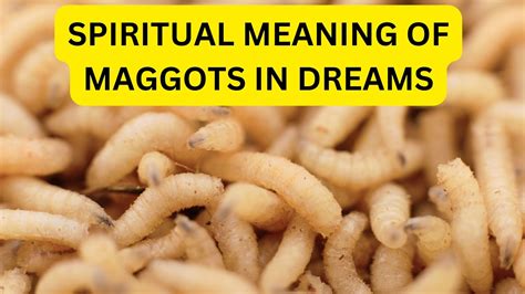 The Profound Psychological Significance of Maggots in Hand