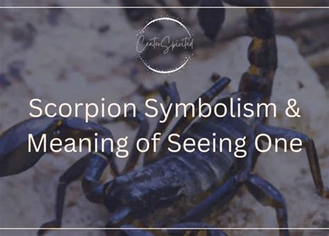 The Profound Significance of Scorpion Dreams: Exploring the Depths of the Unconscious