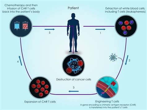 The Promising Future of Cancer Research: Revolutionary Advances