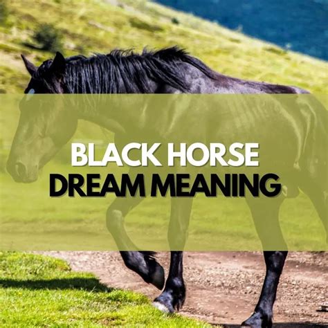 The Psychological Interpretation of Dreaming about a Dark Equine