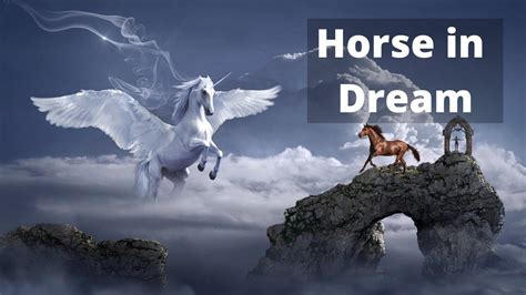 The Psychological Interpretation of Dreaming of an Euphoric Equine