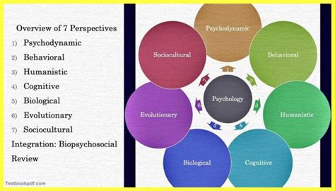 The Psychological Perspective: Analyzing the Meaning of an Enchanting Ivory Rose Delusion