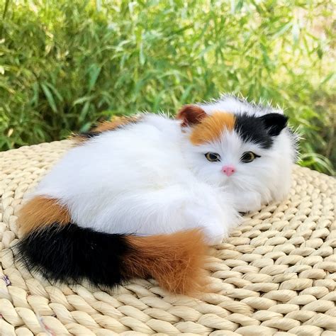 The Puzzle of Calico Cat Fur: Diving into the Genetic Enigma