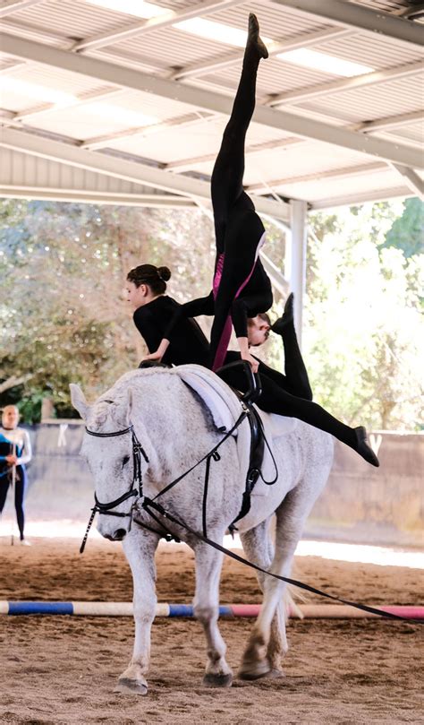 The Relationship Between Dreams of Equine Tumbling and Real-Life Circumstances