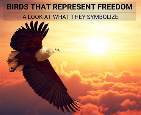 The Relationship Between Liberty and Avian Creatures in Dream Imagery