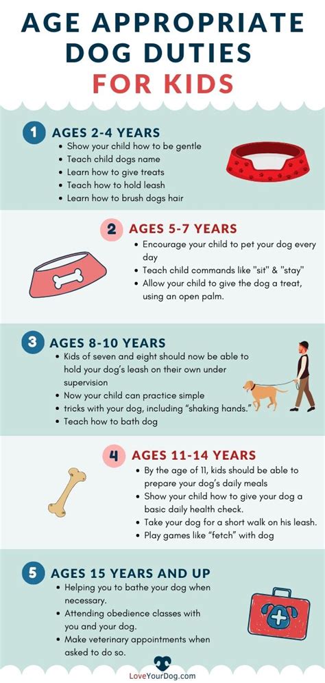 The Responsibilities of Dog Care