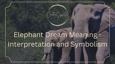 The Restorative Influence of the Environment: Unraveling the Science Behind Elephant Embrace Therapy