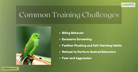 The Rewards and Obstacles of Training a Feathered Companion