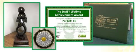 The Rise of Daisy 19: Achievements and Awards