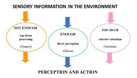 The Role of Body Perception in Exploring the Significance of Nightly Weight Evaluation