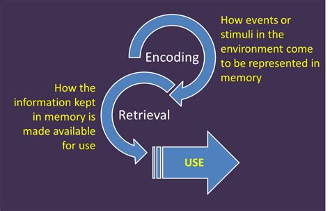 The Role of Dreams in Processing Emotions and Memories