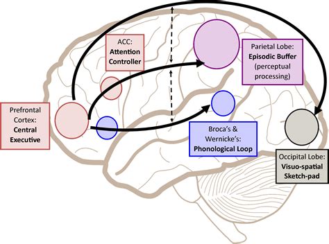 The Role of Memories: Analyzing the Role of Past Experiences in Recurring Thoughts of a Former Partner