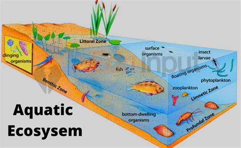 The Role of Pale Serpents in Aquatic Ecosystems