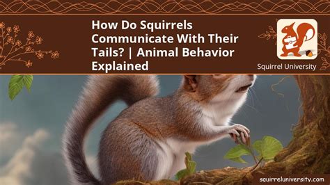 The Role of Squirrel Communication in their Social Interactions: Insights from Analyzing Dreams