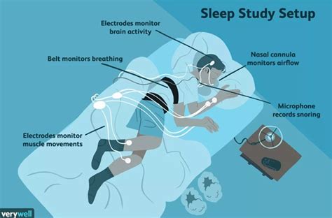 The Science Behind Dreaming: How Our Mind Creates Enchanting Encounters