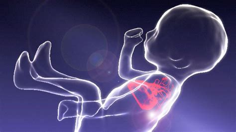 The Science Behind Dreaming of Your Unborn Child