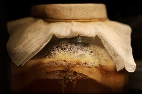 The Science Behind Fermentation: Exploring Microorganisms and Chemical Reactions