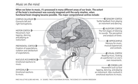 The Science Behind Musical Talent: Understanding the Brain's Role