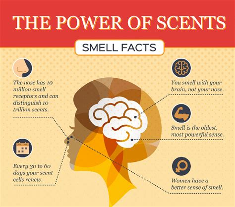 The Science Behind Our Sense of Smell