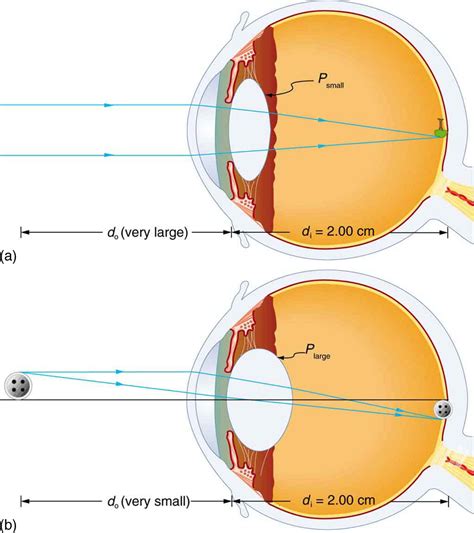 The Science Behind Recognizing Distant Figures: Understanding the Mechanics of Human Vision