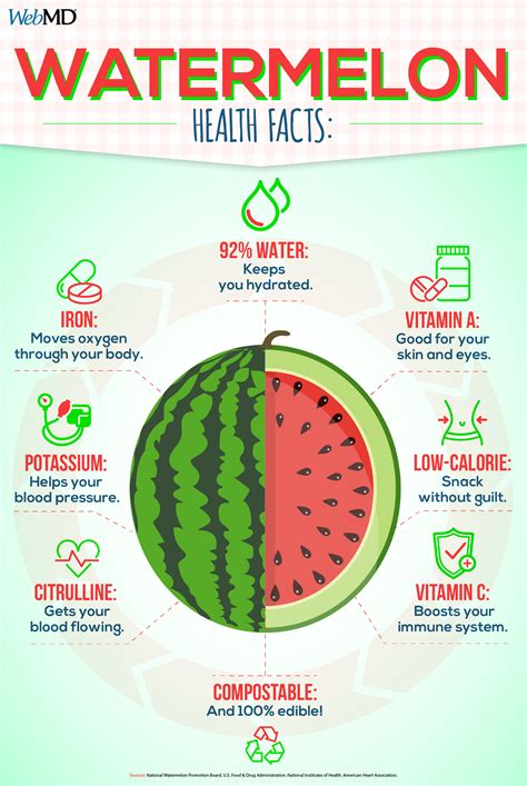 The Science Behind the Juiciness: Understanding the Water Content in Watermelon