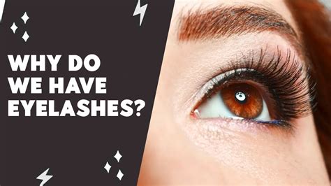 The Science Behind the Phenomenon of Eyelash Loss in Dream Experiences