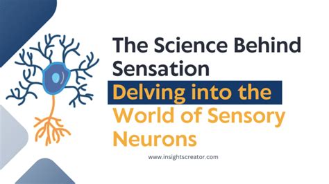 The Science Behind the Sensation: Revealing the Intriguing Aspects of Buoyancy