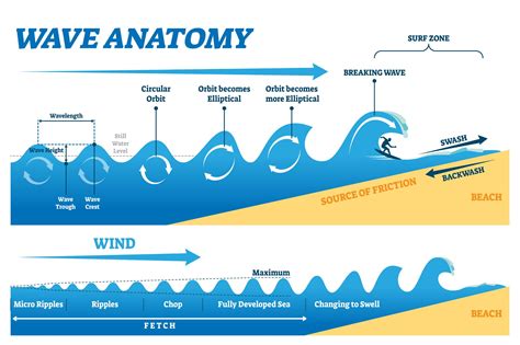 The Science Behind the Ultimate Wave: Decoding Swells and Breaks