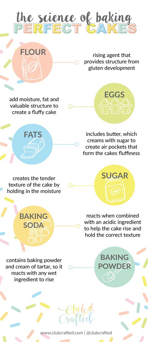 The Science of Baking: Grasping the Principles Behind an Exquisitely Leavened Cake