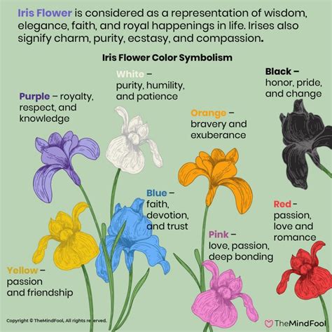 The Scientific Explanation behind Cerulean Irises
