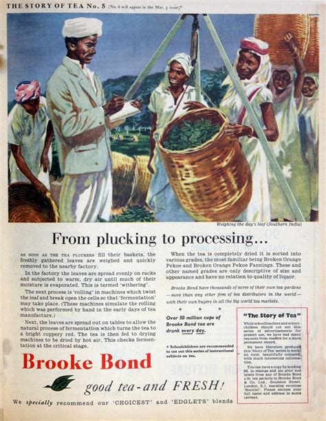 The Secret to Brooke Bond's Success