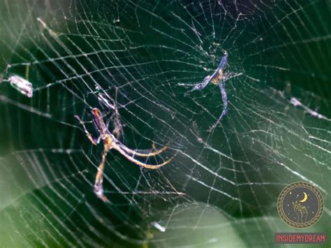 The Significance and Interpretation of Dreams Filled with Spiders