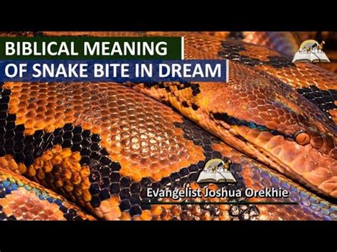 The Significance and Signification of the Serpent Consuming a Swine in Dreams