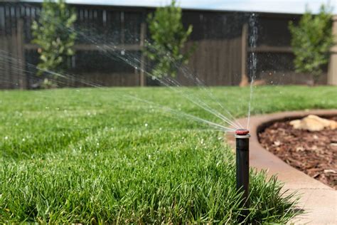 The Significance of Adequate Irrigation for Healthy Turf