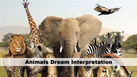 The Significance of Animals in Dream Interpretation