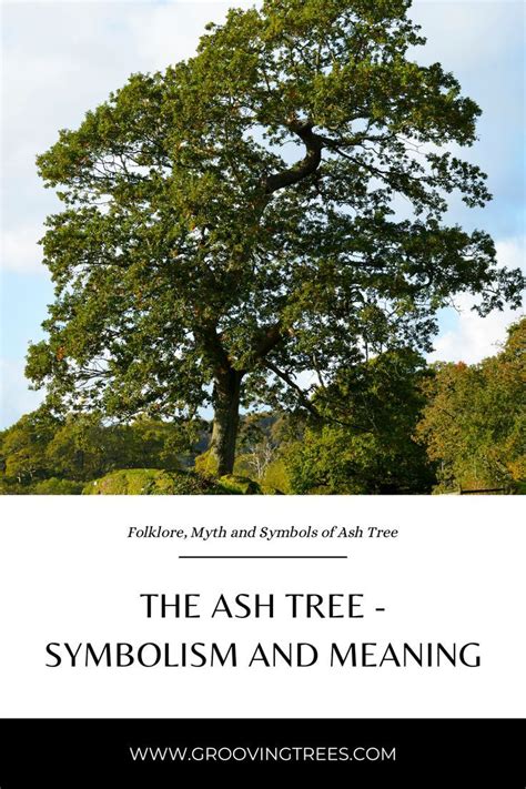 The Significance of Ash Trees as Symbols of Spiritual Growth and Transformation in Dreams