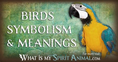 The Significance of Avian Creatures in Dreams: Exploring Their Symbolic Depictions